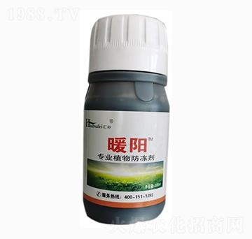 ֲ�������-����