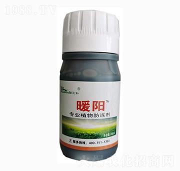 ֲ�������-ů�-����