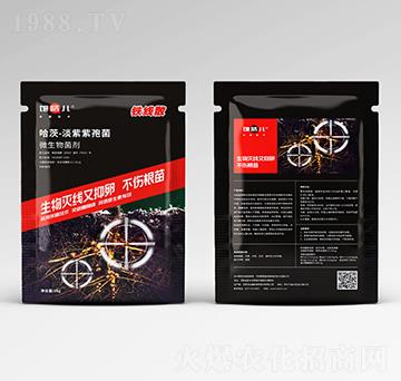 ���-�F��(xi��n)ɢ-ε�R��