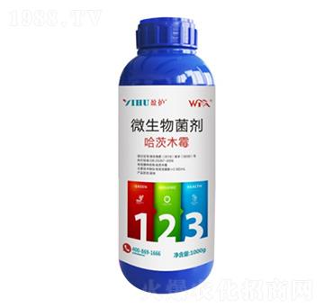 ΢�������������ľù�� ��ӯ