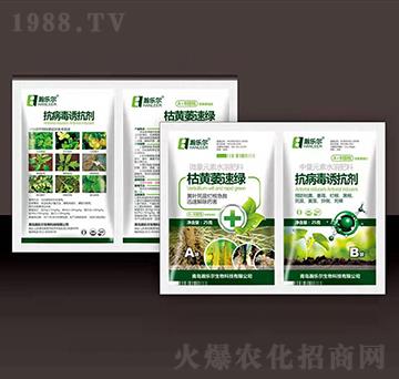 ���Sή�پG+�������T��