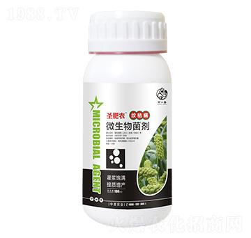 ƿ�b�y�ݲ���(zhu��n)��΢�������-ʥ���r(n��ng)-��ʥ�r(n��ng)�I(y��)