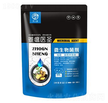 �ݲݡ�����ľù��-�����t(y��)ʥ-��ʥ�r�I(y��)