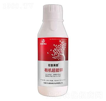 �ЙC(j��)�����-�������-��ʢ��ɽ