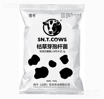 �ݲ�ѿ�ߗU��-�vţ