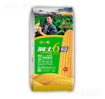 ��ጷ���26-10-10 ����6̖ �����