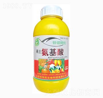 ϡ��������-�A������