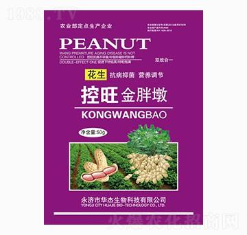 �����������ֶ�-�A������