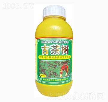 �Ų��(sh��)-�A������