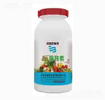 ������-��ʩ������