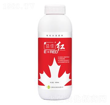 �~���-��ѡ��t-���