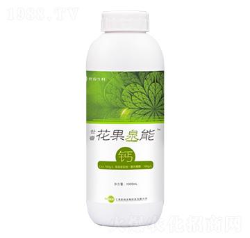 ��������Ȫ���}-�����