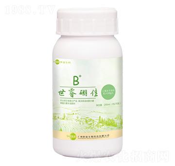 �ߝ��Һ�w�ۺ���-���