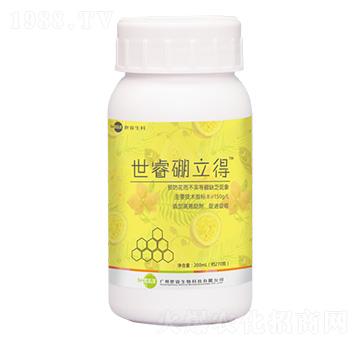 ������-�������