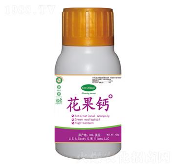 �M�����ϑB(t��i)�̷��}-�����}-���A��