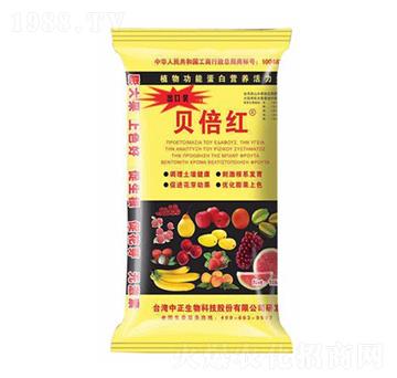 ؐ���t-���A��