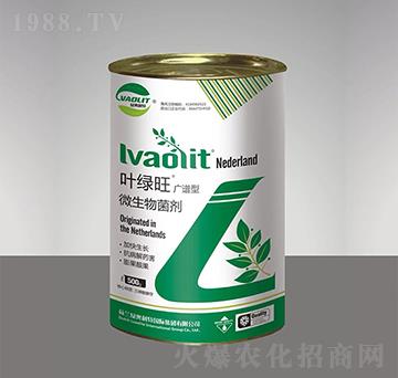 ΢�������-�~�G��-�G�W�r(n��ng)�I(y��)