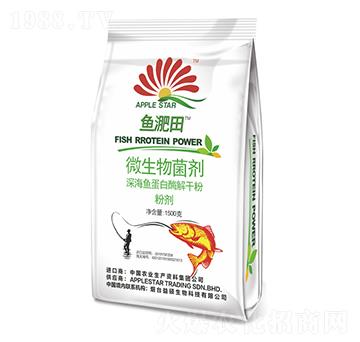 ΢�������-�~(y��)����-��T����