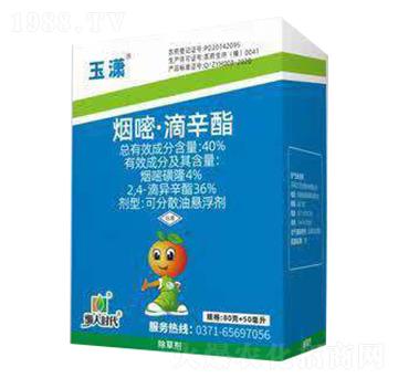 40%���ס�������-��t�M��-ؐ����