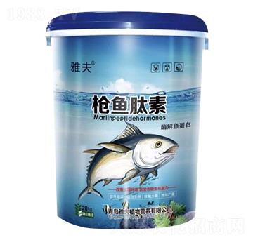 ø���~����-���~����-�ŷ�