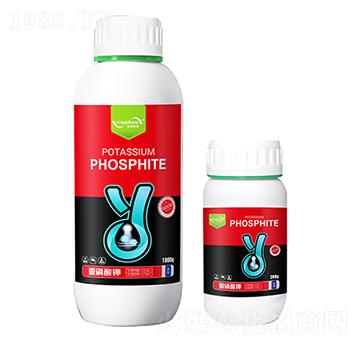 �������-ӯ��(r��n)�r(n��ng)�I(y��)