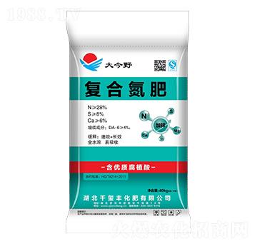 �ͺϵ���-���Ұ-ǧ�t�S