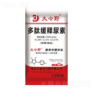 ���ľ������-���Ұ-ǧ�t�S