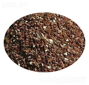 ������|(zh��)-�ݸ����B(t��i)