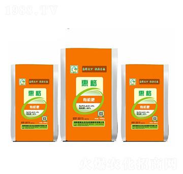 �ݸ��ЙC(j��)��-�ݸ����B(t��i)