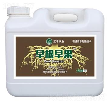 早根早果-匯豐農(nóng)業(yè)