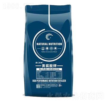 �S�����-���R����