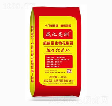 ���������ﻨ���-���R����