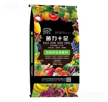 ������������-����ʮ��-���R����