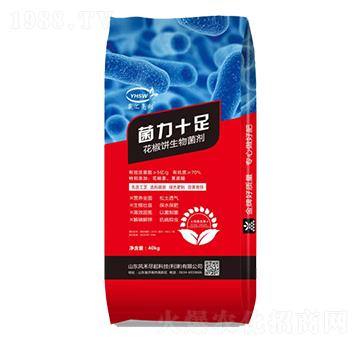 40kg������������-����ʮ��-���R����