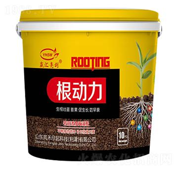 ������-���R����