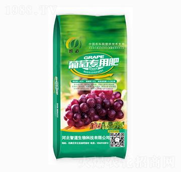 ���ь�(zhu��n)�÷�-�ǵ�