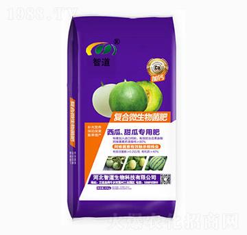 ������ό�(zhu��n)�Ï�(f��)��΢�������-�ǵ�