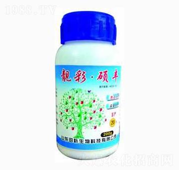 ���ʴT�S-���a