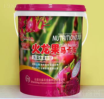 �����~������-�������R����-ľ�~ʯ����