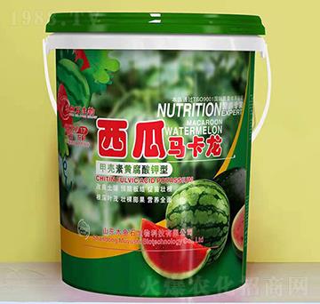 �ך����S�������-�����R����-ľ�~ʯ����