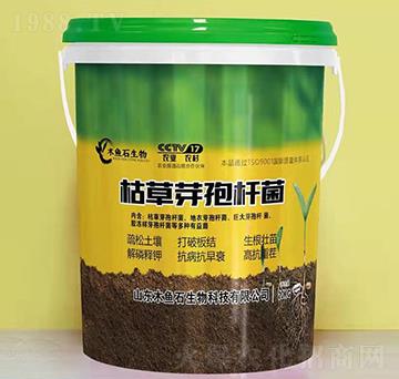 �ݲ�ѿ�ߗU��-ľ�~(y��)ʯ����