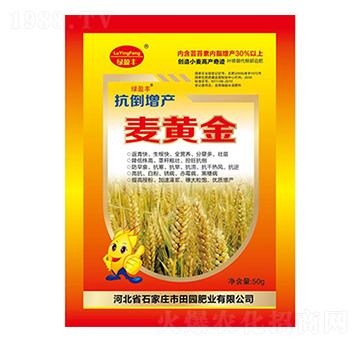 ���S��-��@�ʘI(y��)