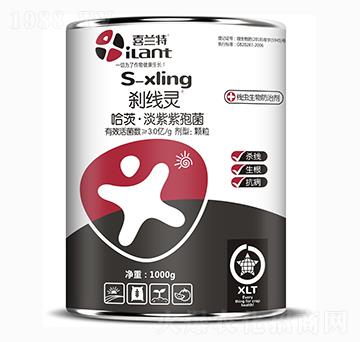 ���ġ��������߾�-�x���`-ϲ�m��