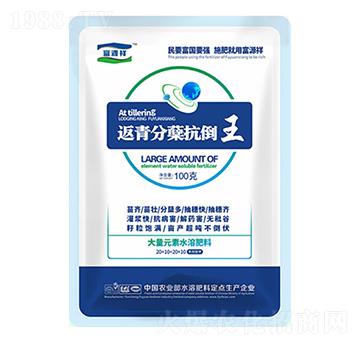 ������Y������-��Դ��