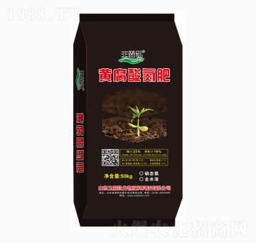 �S���ᵪ��-���؄P����