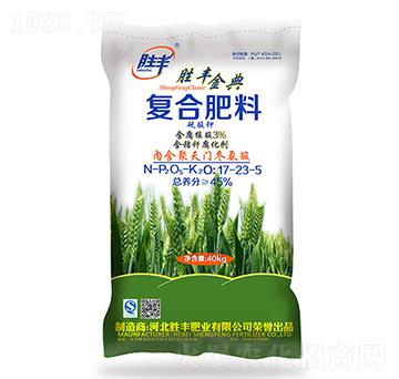 ����⛏ͺϷ���17-2