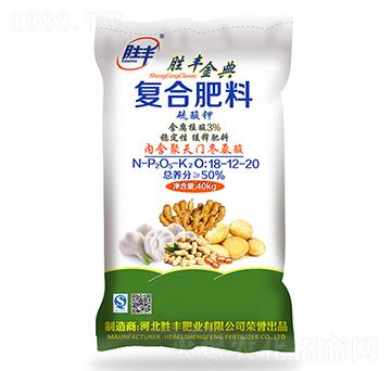 ����⛏ͺϷ���18-2