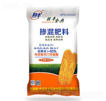 ��ጓ������28-5-