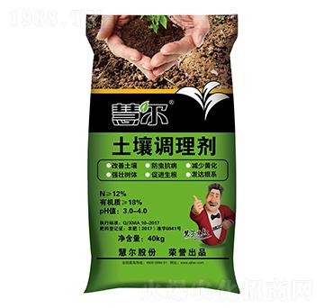 �����{�턩-�۠�