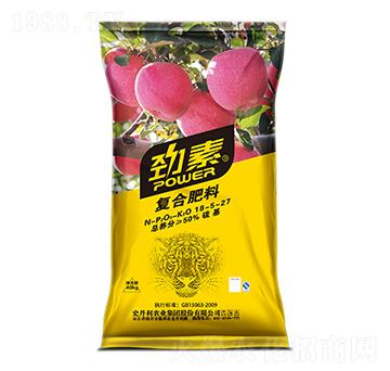 �O(p��ng)�����Ï�(f��)�Ϸ���18-